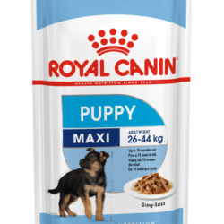 Royal Canin רויאל קנין גור מקסי פאוץ' 140 גרם