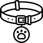 אילוף ומיטות לכלבים