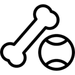 ציוד לכלבים