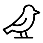 אוכל לציפורים