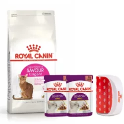 רויאל קנין סאבור אקסינגט עםרולר