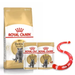 רויאל קנין בריטי עם משחק מתנה