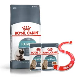 רויאל קנין היירבול 10 קג עם מתנות