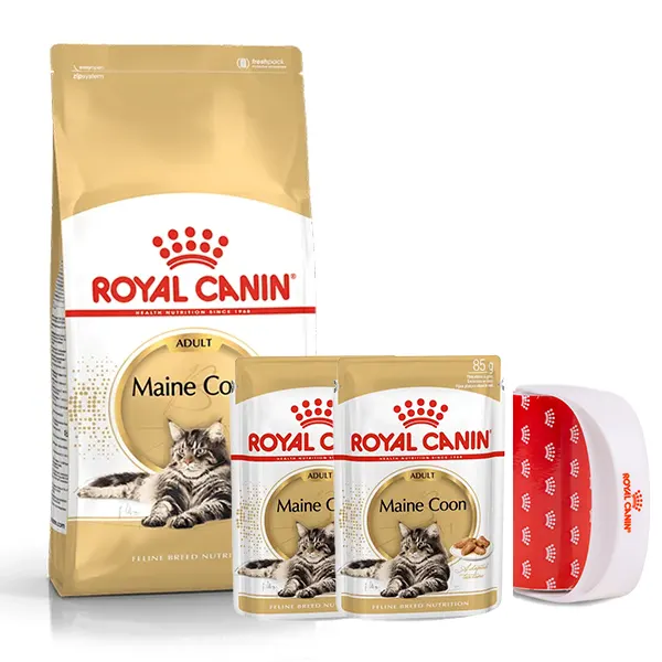 רויאל קנין מיין קון עם רולר מתנה רויאל קנין מיין קון עם רולר מתנה