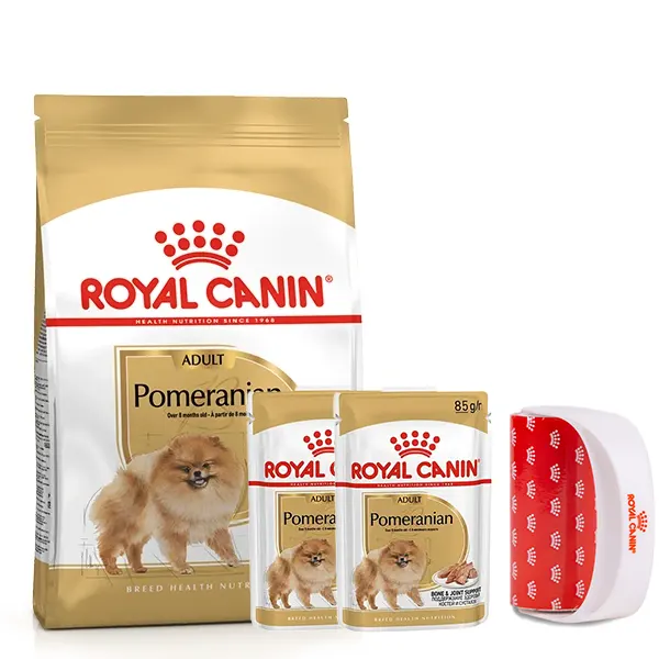 רויאל קנין פומרניין עם רולר מתנה רויאל קנין פומרניין עם רולר מתנה