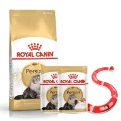 רויאל-קנין-פרסי משחק מתנה 10 קג