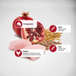 ND רימון ועוף