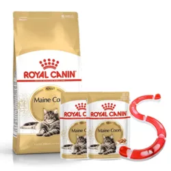 רויאל קנין מיין קון 10 קג משחק מתנה