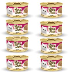 מגש פנסי פיסט פטה עוף מבצע