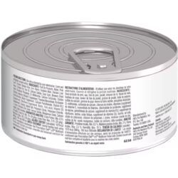 שימור CD מאחורה