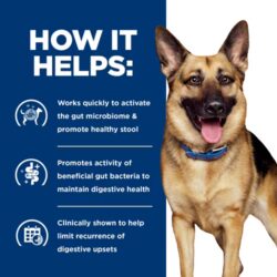 pd-gastrointestinal-biome-canine-dry-productSpotlight2_500