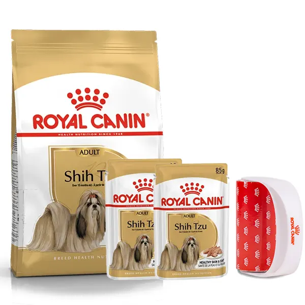 רויאל קנין שיצו עם רולר ופאוצים מתנה רויאל קנין שיצו עם רולר ופאוצים מתנה