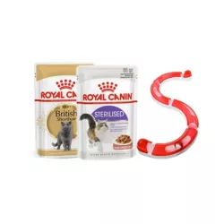 רויאל קנין מבצע 10 קג 2 פאוצים ומשחק