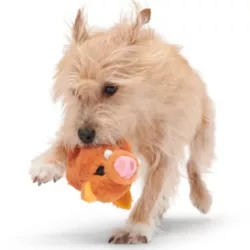 בארק בובת באו חזיר הבר לכלב BARK