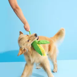 בארק בובת קלח תירס לכלב BARK