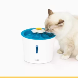 מזרקת מים קטאיט פרח עם LED 3L Catit