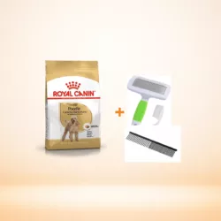 רויאל קנין לכלב פודל בוגר 3 ק"ג עם מתנה מברשת 14 סמ ומסרק מתכת