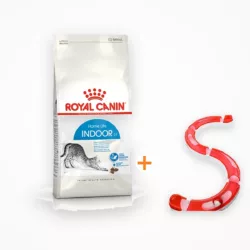 רויאל קנין אינדור לחתולי בית 4 ק"ג Royal Canin Indoor עם מתנה במבצע רויאל קנין
