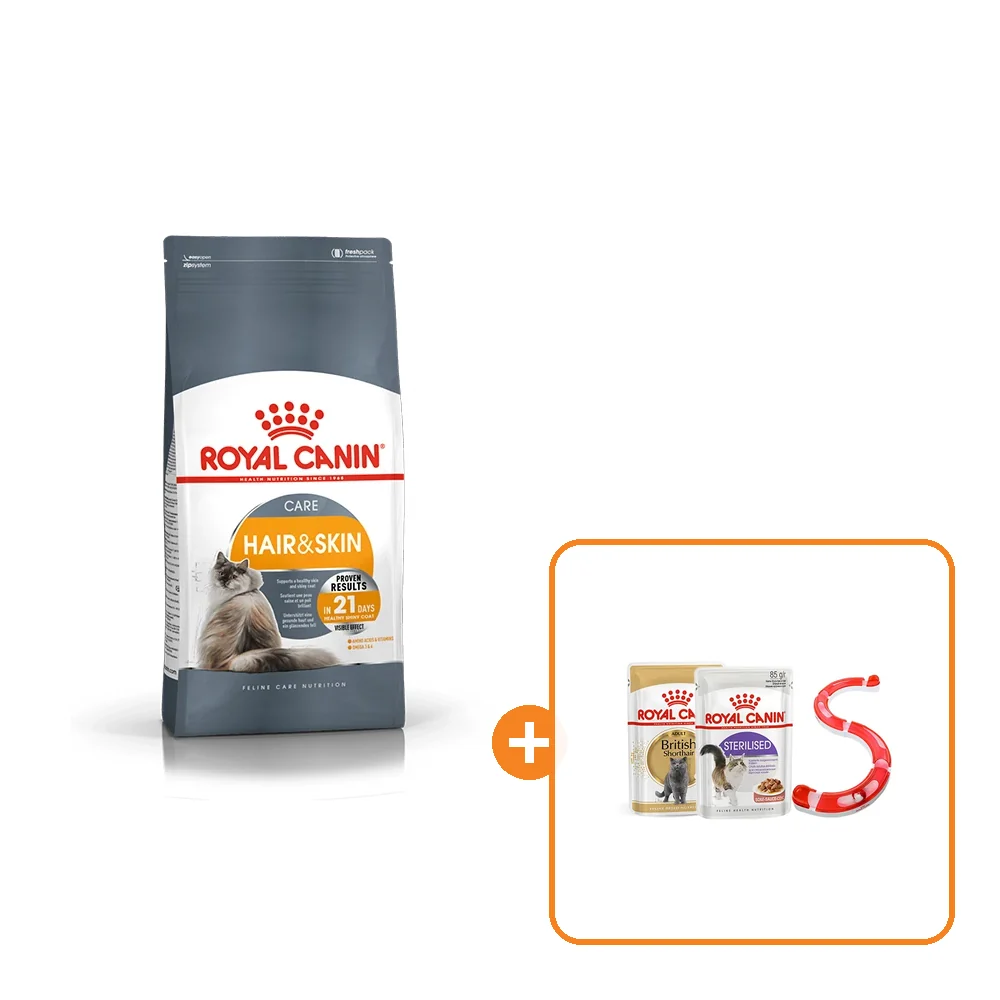 רויאל קנין הייר אנד סקין לחתול 4 ק”ג Royal Canin Hair & Skin Care – מבצע רויאל יולי 26 רויאל קנין הייר אנד סקין לחתול 4 ק"ג Royal Canin Hair & Skin Care עם מתנה במבצע רויאל יולי 26